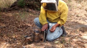 IMG_20160504_110611838