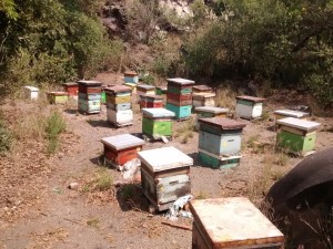 IMG_20160504_110641261