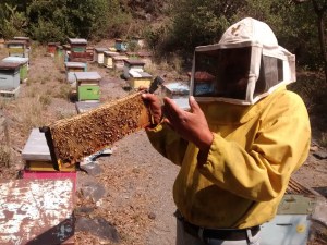 IMG_20160504_111440937