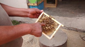 IMG_20160504_115112628