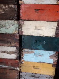 IMG_20160504_115458344